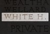 H White